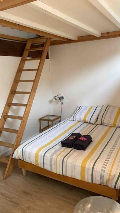 Le Saint-Lazare Appartement Au Calme Intra Muros Avinyon Dış mekan fotoğraf