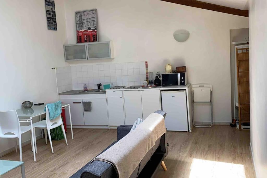 Le Saint-Lazare Appartement Au Calme Intra Muros Avinyon Dış mekan fotoğraf